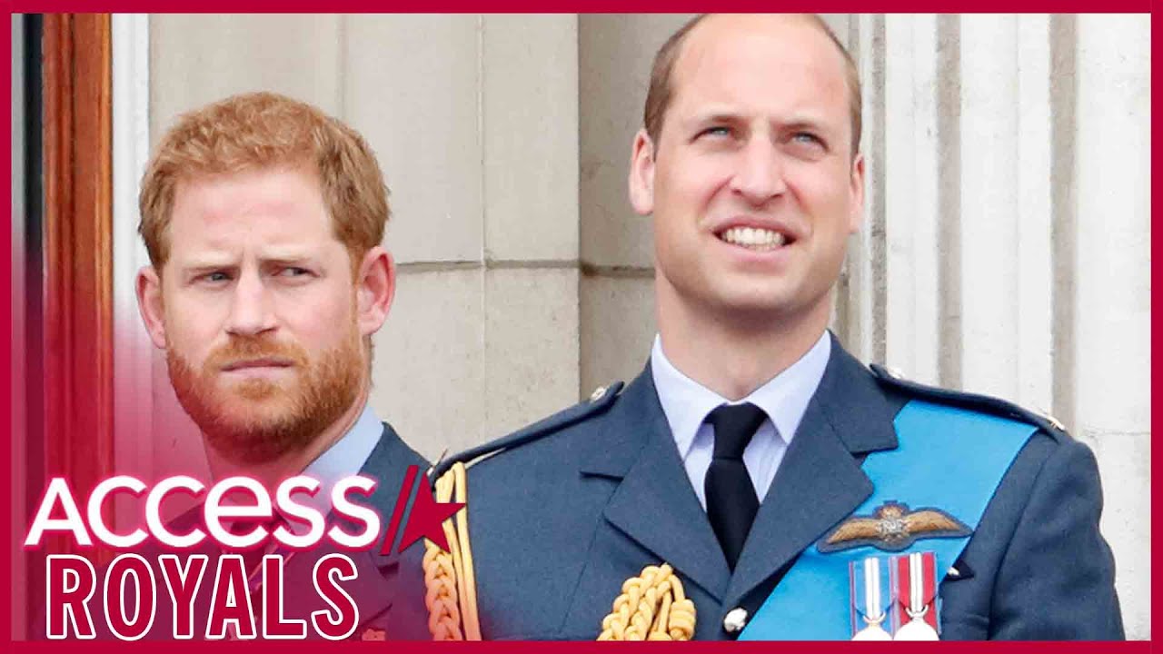 Will Prince Harry & Prince William Talk Privately After Princess Diana’s Statue Unveiling?