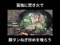 誰にも邪魔されない焚き火メシ ～豚タンねぎ炒めを喰らう～ #焚き火#campfire #campfirecooking #outdoorcooking #bushcraft #asmr
