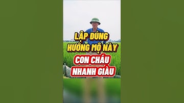 ĐẶT MỘ HƯỚNG NÀY,CON CHÁU GIÀU Ú Ụ. #phongthuychansucophap #phongthuymo #thanhthaivua #chansucophap