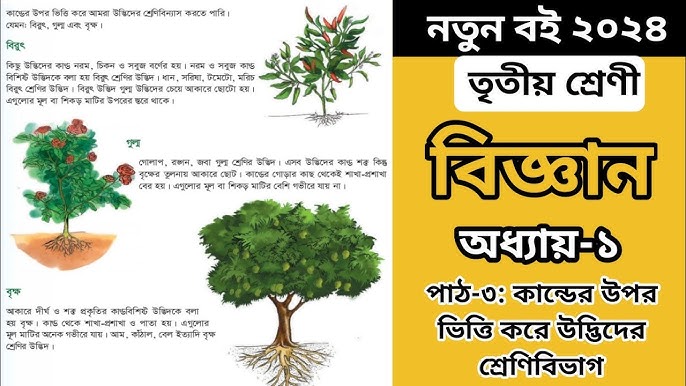 Eshak ichida porno obektlar