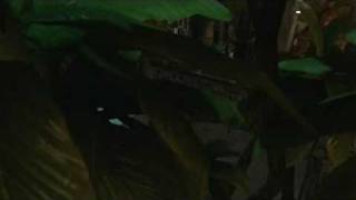 Uncharted 2 Glitch