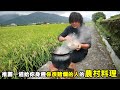 【務農夫婦】第258篇【推薦一道給你身邊&quot;你很賭爛的人&quot;的農村料理】