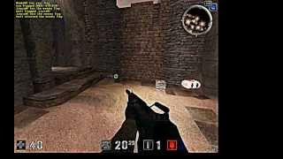 AssaultCube.avi