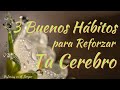 3 Hábitos Necesarios para Reforzar tu Cerebro