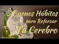 3 Hábitos Necesarios para Reforzar tu Cerebro