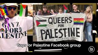 Alex Stein Joins "Gayz For Palestine" At City Council
