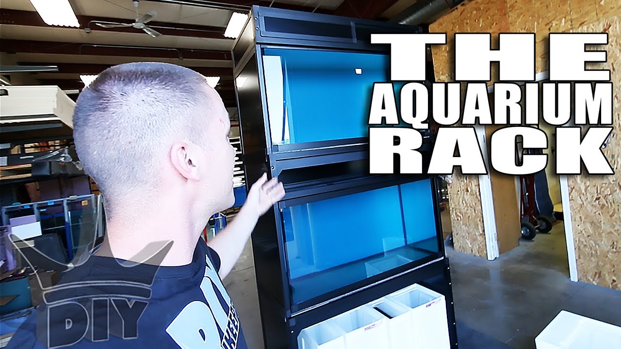the aquarium racks youtube diy tank light
