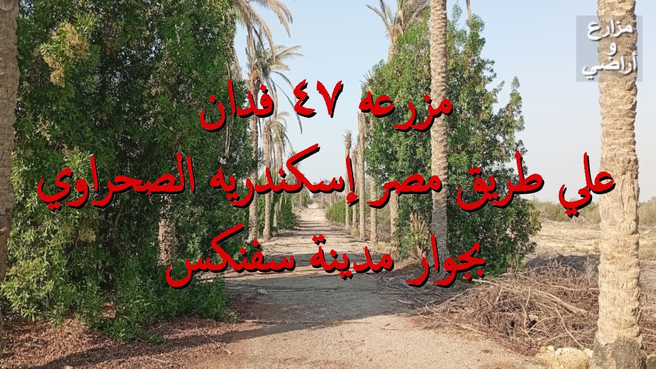 للبيع مزرعه 47 فدان, تطل علي طريق مصر إسكندريه الصحراوي, بجوار مدينة سفنكس