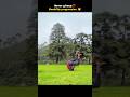 From Fails to Backflip ✅ | Progress Takes Time #nevergiveup #backflip #fitnessmotivation #shortfeed