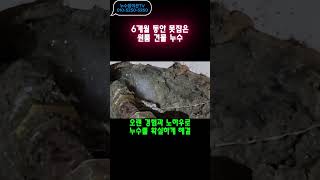 누수탐지 DZ가 부릅니다 찌릿 feat. 배전반 #누수 #누수탐지 #은평구누수 #성북구누수 #고양시누수 #일산누수 #파주누수 #빌라누수 #아파트누수 #옥외누수 #김포누수 #중구누수