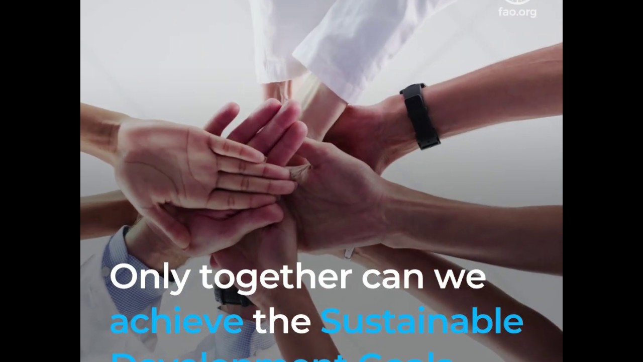 FAO + China: Partnering for sustainable food security