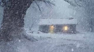 Intense Blizzard & Frosty Wind Sounds for Sleeping | Loud Blowing Snow on House | Reduce Stress