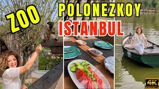 🇹🇷 Turkey Istanbul Zoo Polonezkoy Country Club