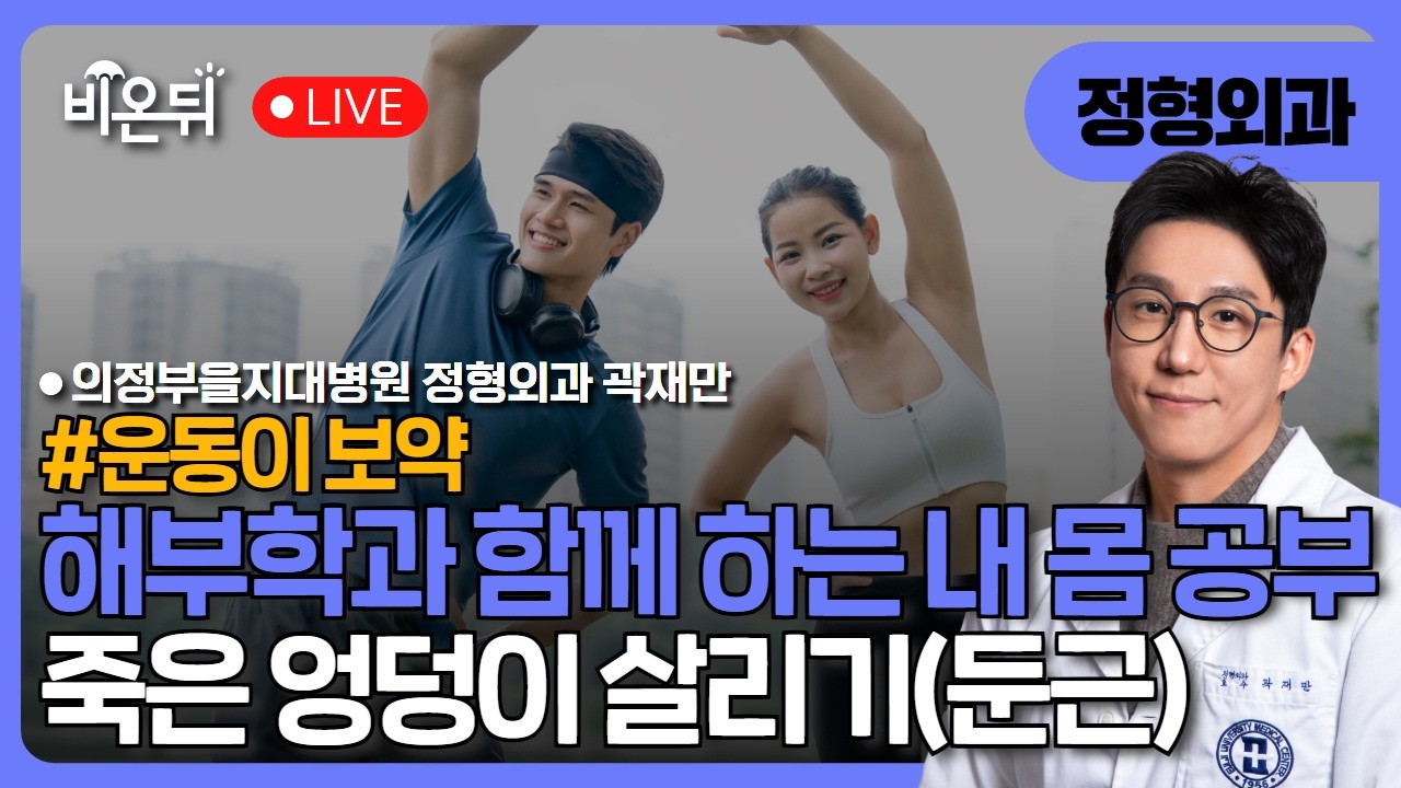 해부학과 함께하는 내 몸 공부 - 죽은 엉덩이 살리기 (둔근) / 의정부을지대병원 정형외과 곽재만  [운동이 보약]