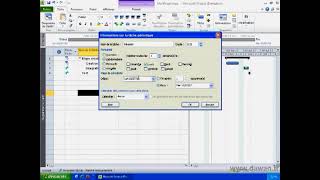 MS PROJECT  LECON 05