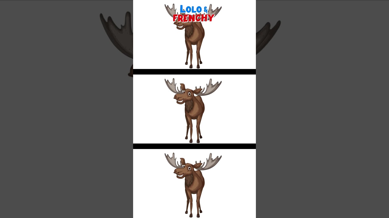 . Balla come una Rana Funky! 🐸🎶  