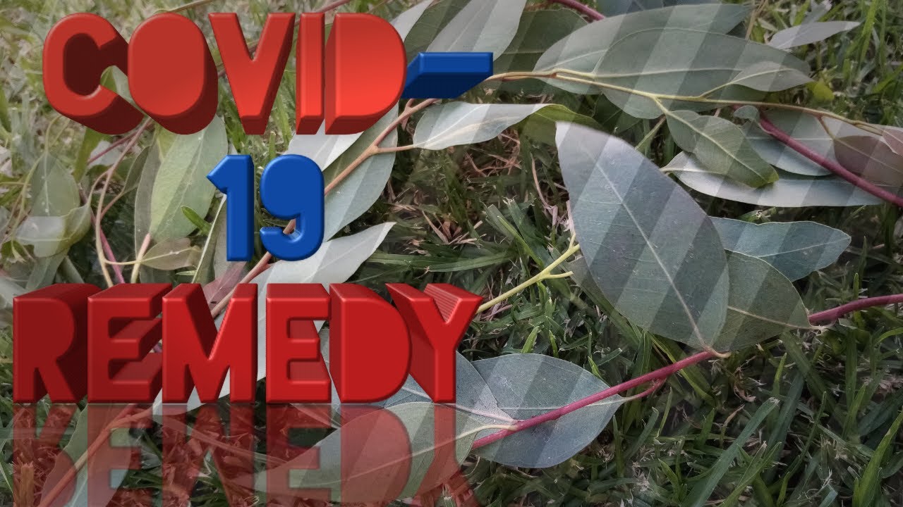#covid19remedy