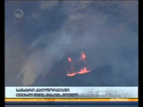 ხანძარი კალიფორნიაში - ცეცხლი ტყის მასივს მოედო