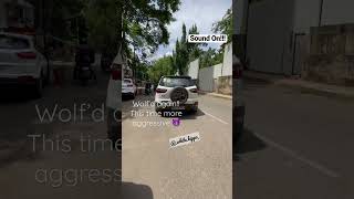 Ford EcoSport BS4 - Stage 2 Aggressive Map