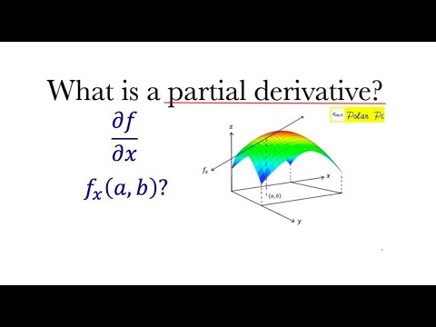 What are Partial