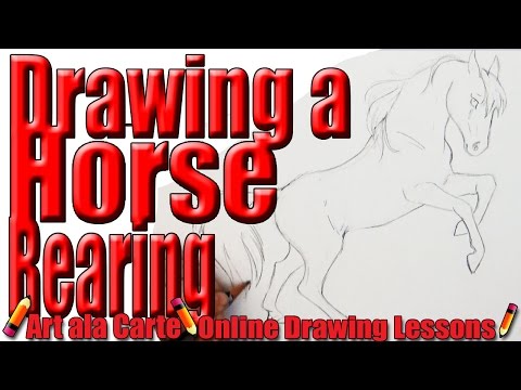 فيديو: كيفية رسم حصان تربية
