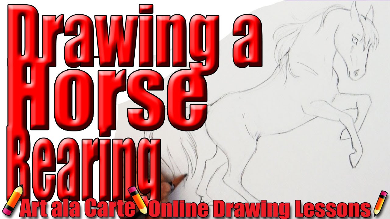 Drawing a horse Rearing Step by Step Instructions YouTube