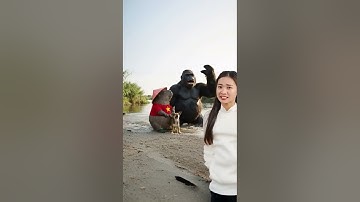 tổng hợp capybara phá nhà | LIKE SNACKS@ | ẩm thực trên cây chuối #food  #fruit