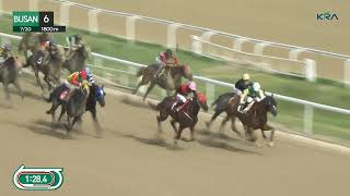 Vidéo de la course PMU RACE 6