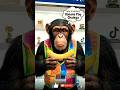 🐵 Bandar Ne Launch Kiya Banana Pay! 😂🍌#shorts #viral #shortsfeed #monkey #mobile