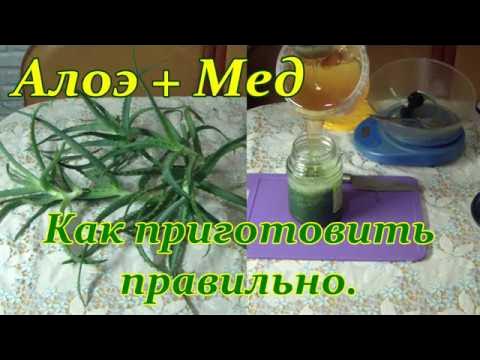 АЛОЭ + МЕД. Рецепт средства для профилактики заболеваний. - YouTube