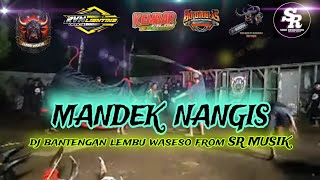 DJ BANTENGAN ‼️ MANDEK NANGIS - FAREL PRAYOGA ‼️JINGLE LEMBU WASESO from SR MUSIK