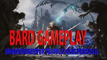 NEVERWINTER MOD 21 - SHADOWKEEPER TEMPLE WHISPERSOUL BOSS FIGHT / BARD GAMEPLAY (LVL 6)