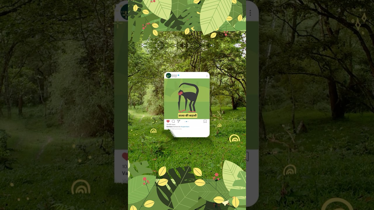 Tatiya the Red-Faced Spider Monkey  | Vantara ke Superstars