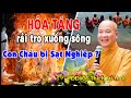 CỘI GỐC CỦA PHƯỚC BÁU, nhờ đâu con cháu Làm Ăn Phát Đạt. Chùa Hoằng Pháp - Ánh Sáng Phật Pháp kỳ 70