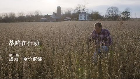 战略在行动:   成为‘全价值链‘ - 天天要闻