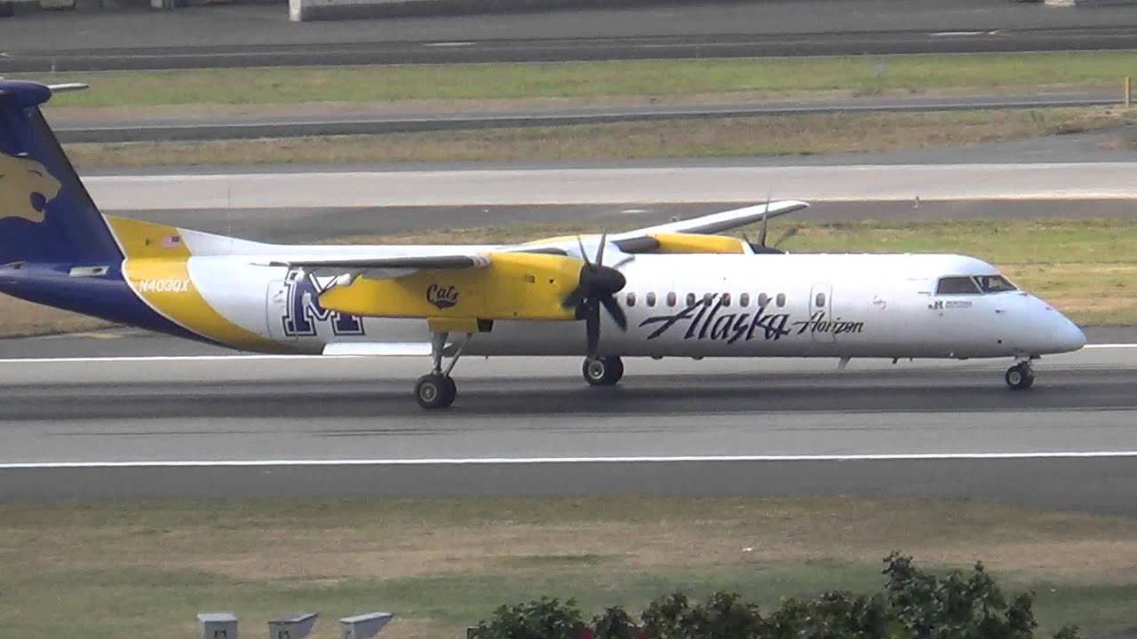 Alaska airlines cat policy Clearance