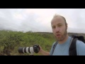 Canon 100-400mm f4.5-5.6 ii IS Review from the Galapagos Islands