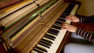 Zadrži Svoj Dah - Nikola Vranjković Piano Cover By Iva Toković