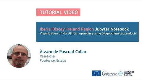 Jupyter Tutorial - IBI Region - Biogeochemical Model products - African upwelling