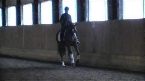 3 Loop Canter Serpentine Left