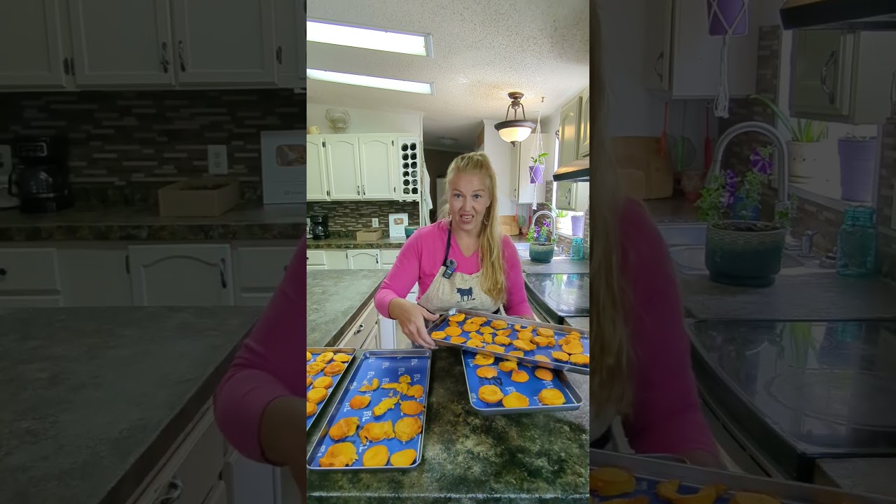 Freeze Dried Apricots!