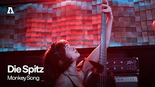 Famous Die Spitz - Monkey Song | Audiotree Live Net Worth