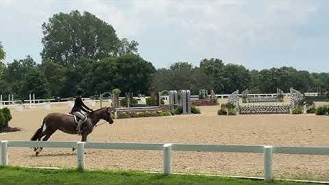 Lena and Covergirl 1st trip KY Summer Classic