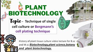 single cell culture in plant tissue culture | Bergmanns cell plating technique |suspension culture