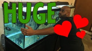 Where To Get Cheap Fish Tanks HUGE TANK for 100 Tank Trip