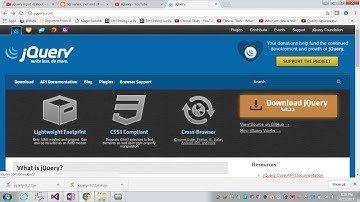 jQuery input vs :input