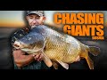 1300 mile trip  mark pitchers  huge carp     carp fishing in bosnia