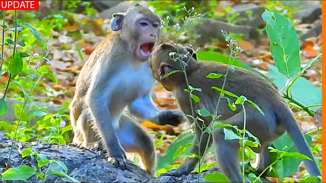 ⁣It is Viral... Jody Now Can Easily Overcome His Bratty Sister Janna
