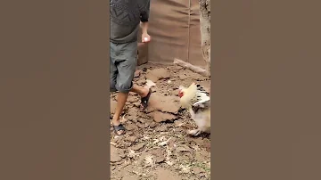 صوت البراهما مع مشهد مخيف 