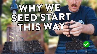 5 steps to seed starting success